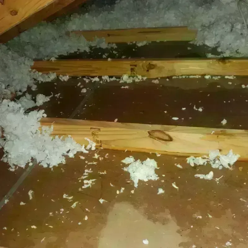 Attic Water Damage in Pottsboro, TX